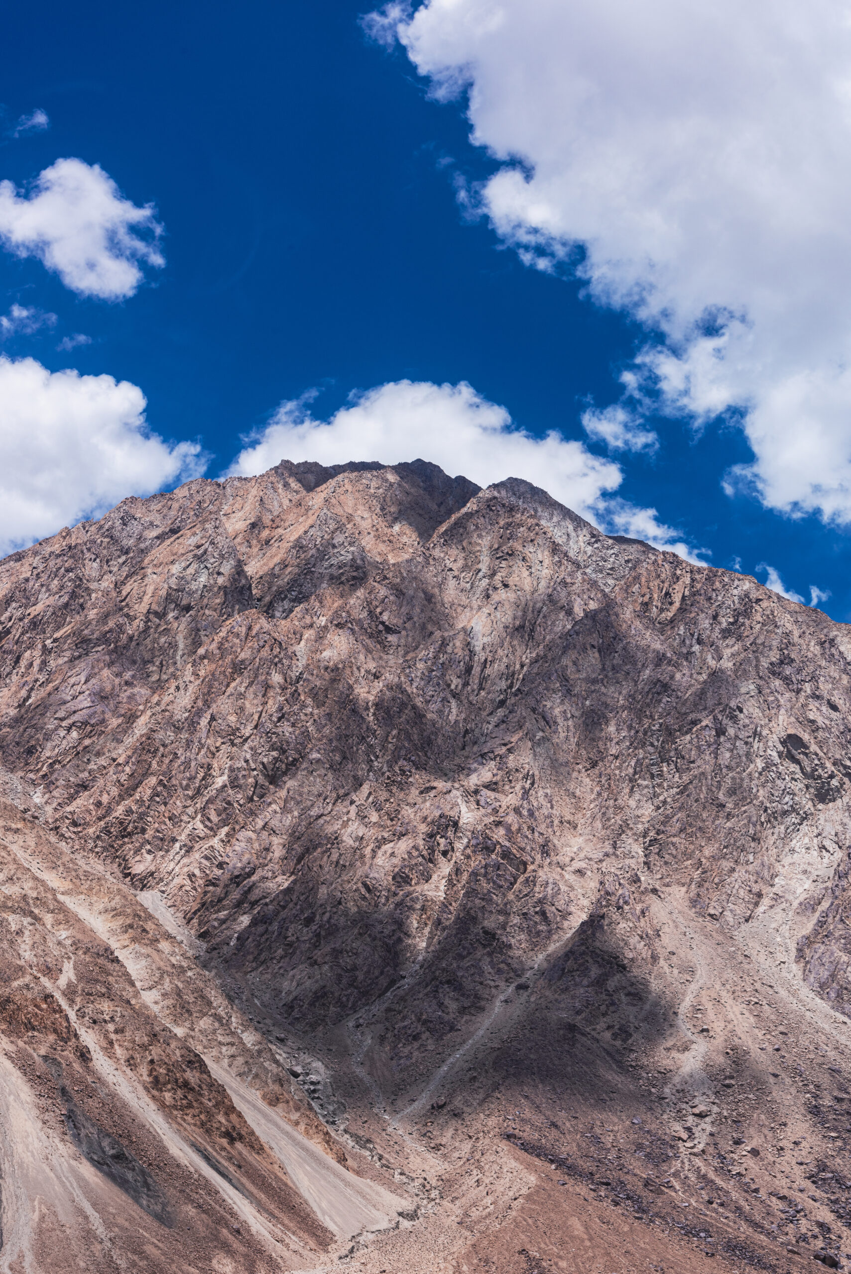 _HD07944 copy