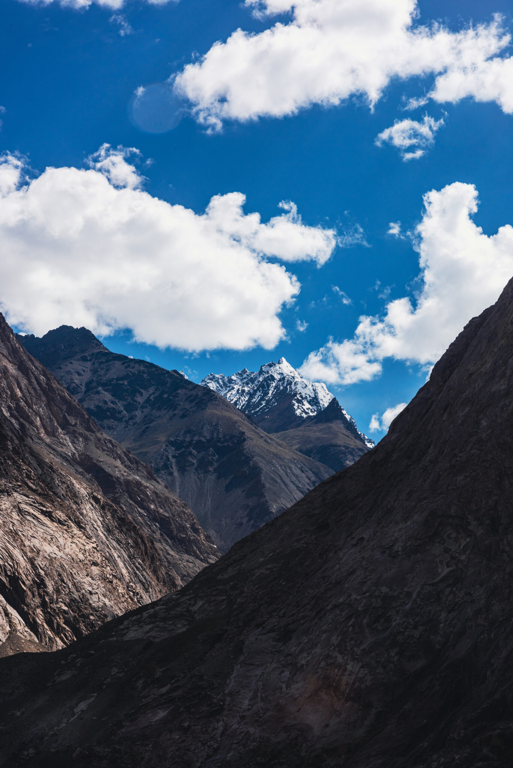 _HD08088 copy